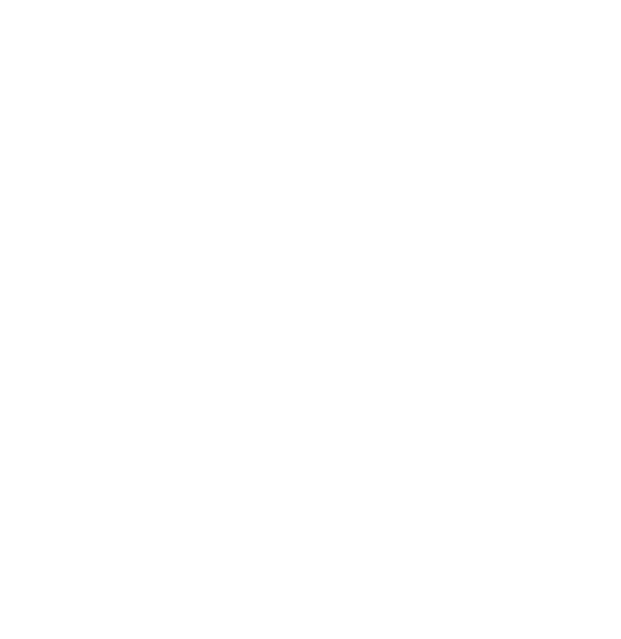 Strategic financial leadership and business planning